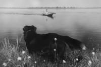 Из проекта «Пути каслания». «Родовое угодье». Фёдор Телков