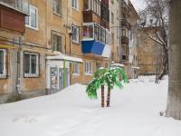 Из проекта «Гуманизация пространства». «Пальмы на улице 22 Партсъезда». Фёдор Телков