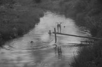 Из проекта «Урал мари. Смерти нет». «Купание». Фёдор Телков Из проекта «Урал мари. Смерти нет». «Купание». Фёдор Телков