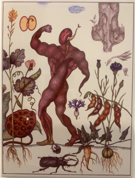 Людмила Баронина. Плитка А4 №15 «Phaseolus vulgaris» из серии «Вести из ниоткуда» 