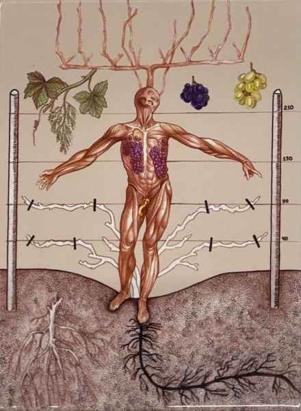 Людмила Баронина. Плитка 24 "Виноград" из серии «Вести из ниоткуда» 